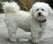 chloe