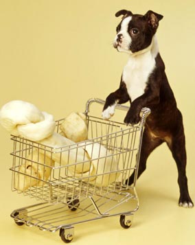 pet shopping