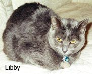 libby