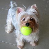 lola