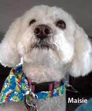 maisie mae